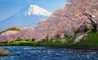 Tokyo Japan