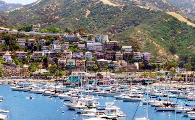 Catalina
